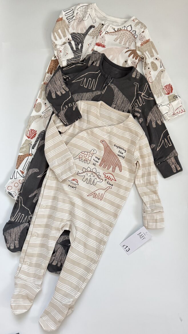 3 gab. rāpuļi “Dino”