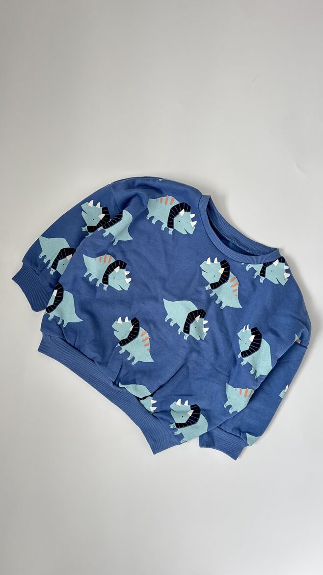 Zils džemperis “Dinozauri”