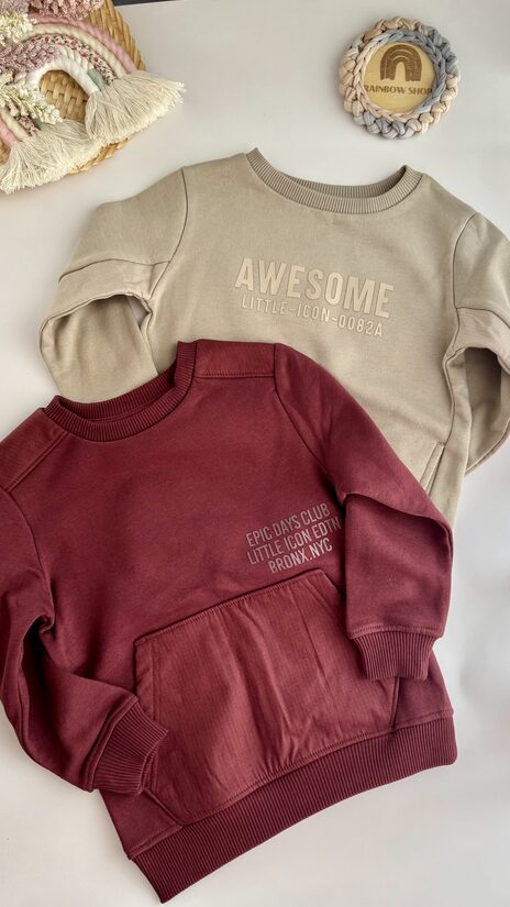 2 gab. džemperi “Awesome”