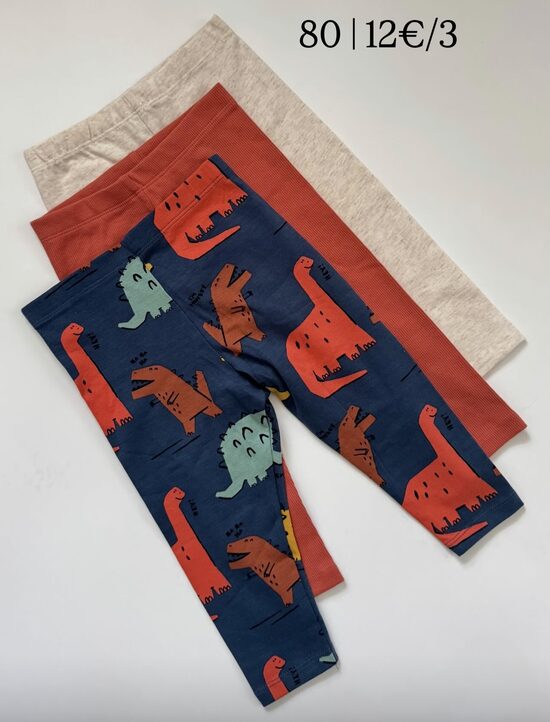 3 gab. legingi “Dino”