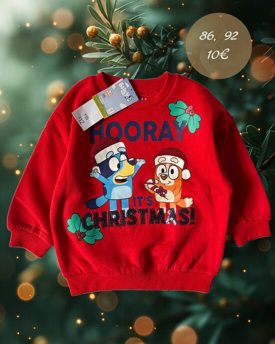 Džemperis “Bluey”